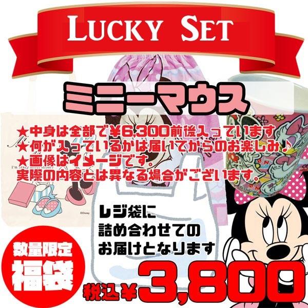 Fuku Mn 3800 のあ Disney ディズニー 中身はおまかせ キャラクター雑貨福袋 ミニーマウス 上代 ６３００相当 アイテム数は １０点前後 Dz Tl9n Obyn のあのはこぶね 通販 Yahoo ショッピング