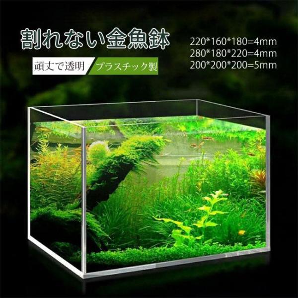 金魚鉢 メダカ 透明 水槽 花瓶 アクアリウム ボトルアクアリウム
