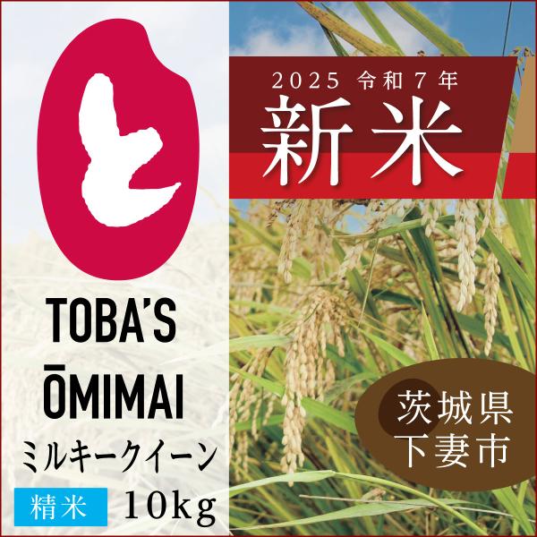 ミルキークイーン 茨城県産ミルキークイーン【精米 10kg】令和7年度