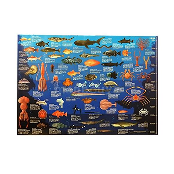 深海魚 図鑑 みんな探してる人気モノ 深海魚 図鑑 本 雑誌 コミック