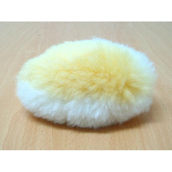 ~jNbV ybgp ؂ȃybgɈSfނ̂ VR[gOr[{[ _ɒ˂ĕ߂܂ɂ̂Ńybg