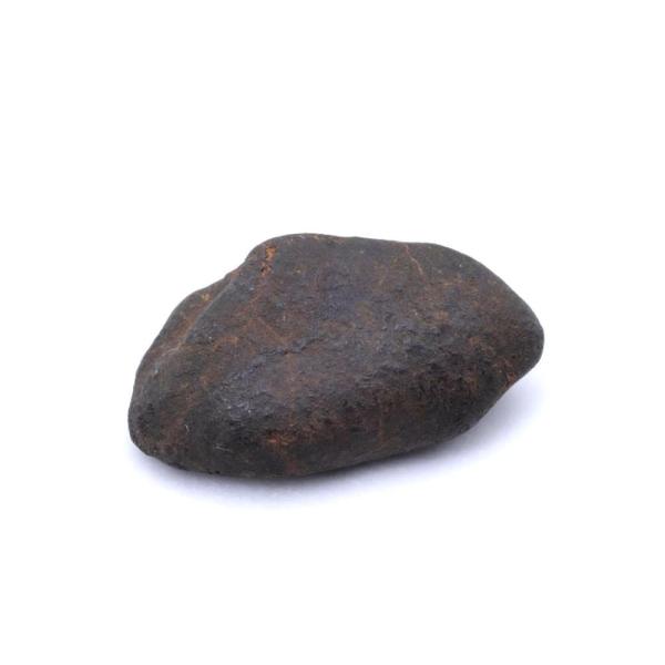 ウィルナ 4g 原石 標本 隕石 普通コンドライト H5 Wiluna No.2 