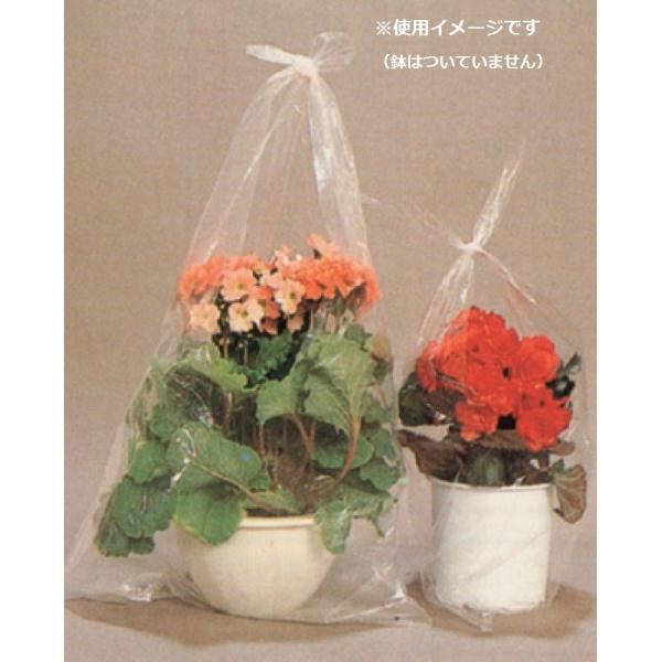 6寸鉢用】半透明【強化鉢袋】大サイズ100枚入×5袋【500枚】0.015×300mm