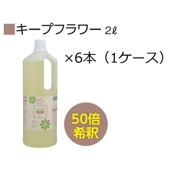 2リットル×6本　【ケース販売】　お花屋さん・ご家庭で愛用されているフラワーサプリメントです。切り花栄養剤・水に混ぜるだけ・きれいに咲かせて長持ち・毎日の水替え不要水換え不要で手間がががらず、小さな蕾まで大きく咲かせて、お花が長持ちします。...