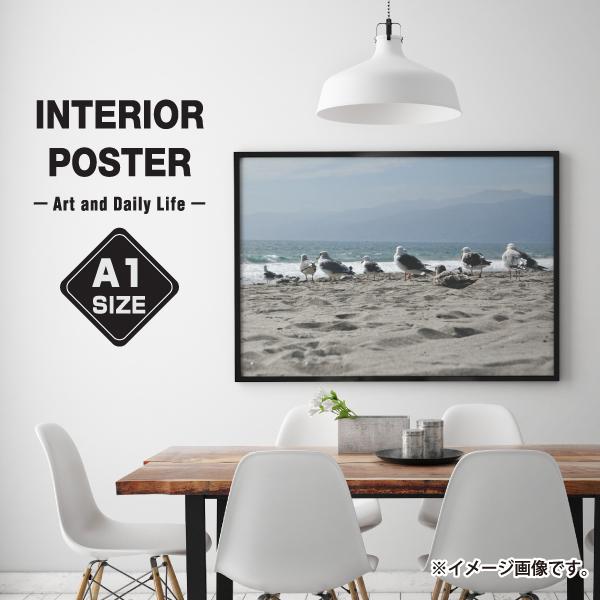 海鳥 ポスター インテリア A1サイズサイズ 写真 フォト 海 砂浜 おしゃれ 模様替え 雑貨 一人暮らし おうち時間 北欧風 大きい Animal 08 A1 備品販促二郎 通販 Yahoo ショッピング