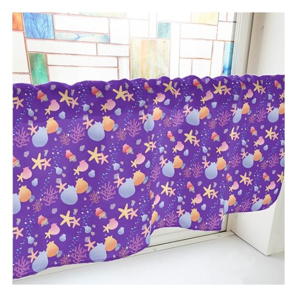 JtFJ[e C  (800×450mm) No.41224