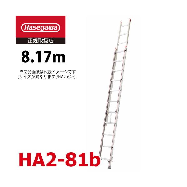 スライダー 2連梯子 はしご 7-8m はしご 2連 2連はしご 7m 7M (7.31m) black 黒 ブラックアルマイト