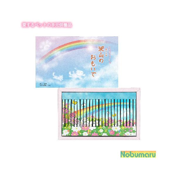 [֑@OS-02@R̂Ł@ybgp@ۊނ炽