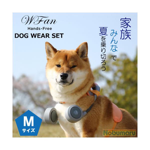 @SPICE OF LIFE hbOEFA@ZbgylTCYz (VbRt@) U ҏ