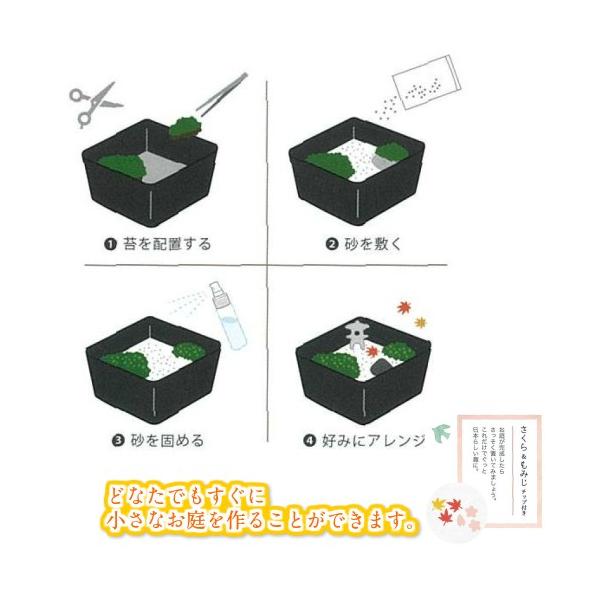 苔日和 こけびより 苔庭園 手作りキット 癒し アレンジ 砂苔 本物 Moss 盆景 箱 お盆 芸術 さくら もみじチップ付き 黒石 ミニ灯籠 送料無料 Buyee Buyee 提供一站式最全面最專業現地yahoo Japan拍賣代bid代拍代購服務 Bot Online