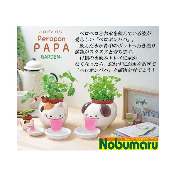 yy|ppz M̐ňĂ͔|Zbg@Ck@N[o[@lR ChXgx[@p_@oW@w@|bg@gC@y@@A