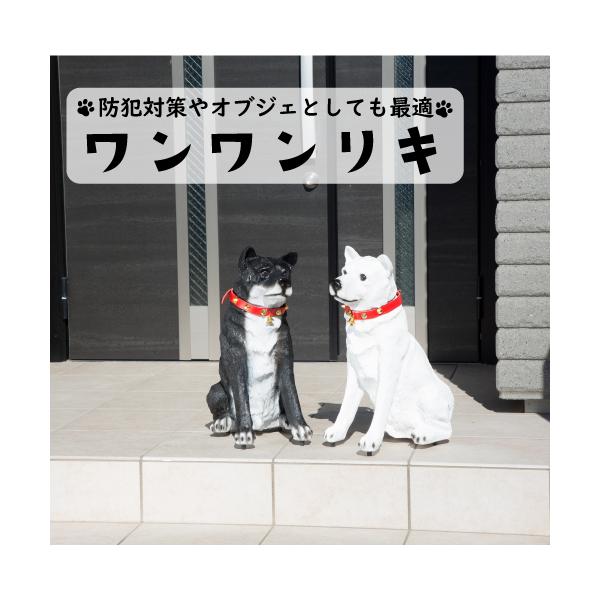 nobumaru_013-tnj-0003