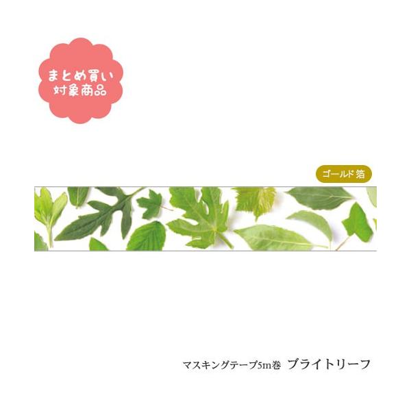 [  Ώۏi3,000~ȏゲwő [TM-036]}XLOe[v@uCg[t@15mm@5m@P@S[h@LL@ʁ@