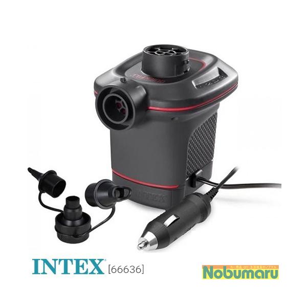 [O66636] INTEX d|v 12{g DCdGA|v C