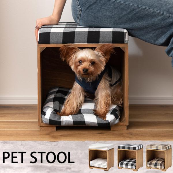 noconocok2000_az-pet-169