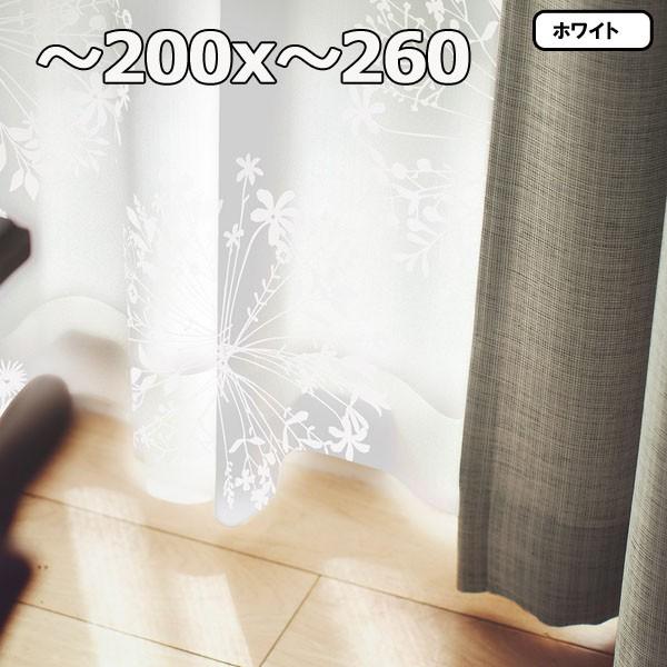 新品 1枚 幅 0x丈 260 安い おしゃれ レースカーテン オーダーメイド Kukka クッカボイル Voile レースカーテン 色 グレー Pathwaysfl Org