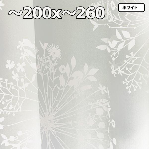 新品 1枚 幅 0x丈 260 安い おしゃれ レースカーテン オーダーメイド Kukka クッカボイル Voile レースカーテン 色 グレー Pathwaysfl Org