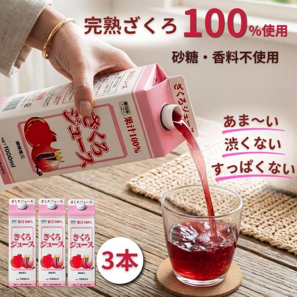 公式】ざくろ100％ジュース(濃縮還元)1000ml×3本 ザクロジュース 野田