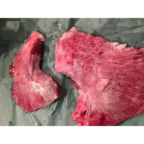 【希少部位】天然本まぐろ ほほ肉 1kg (まぐろ マグロ 鮪 ホホ肉 頬肉 まぐろ ビンタ焼き ステーキ ギフト レア 珍味)