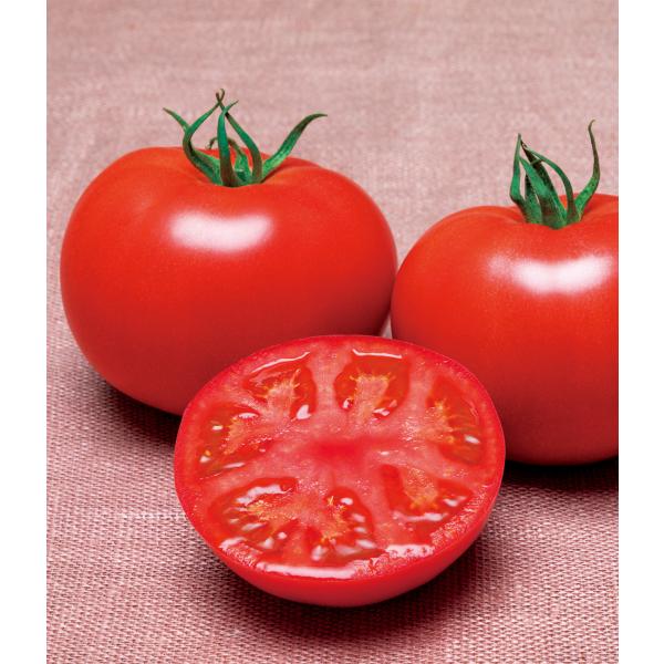 通常1000粒単位の種子の小分け販売となります。第四種郵便希望の場合はお問合せより申し付けください。50ｇまで73円食味のよい夏秋栽培用「桃太郎」。玉がかたく裂果や軟果に強い。花質がよく着果が安定し、生理障害果(チャック・変形・空洞・黄変な...