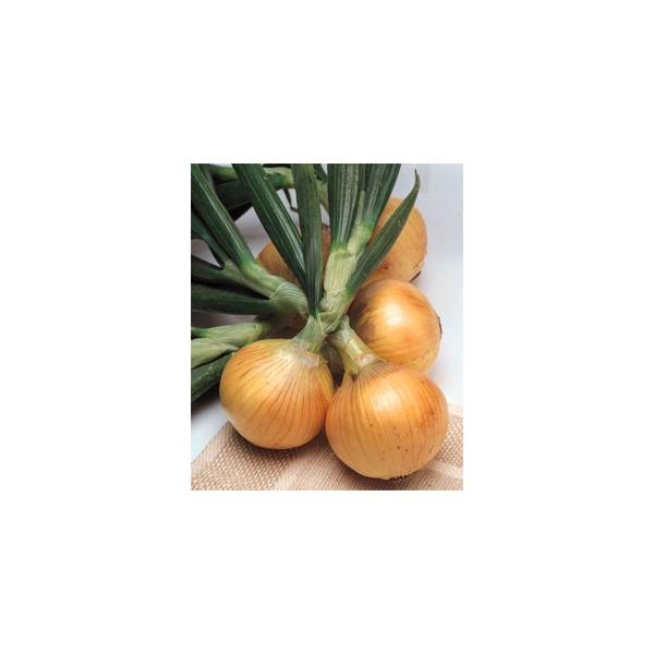 ʔKc@@\jbN(^LCcj@50{@r[ă^}lM}`܂t