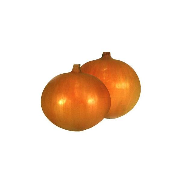 ʔKc@ɑ@M( JlRc j@100{@r[ă^}lM}`܂t