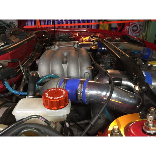 noelonlinenet_supernow-234788