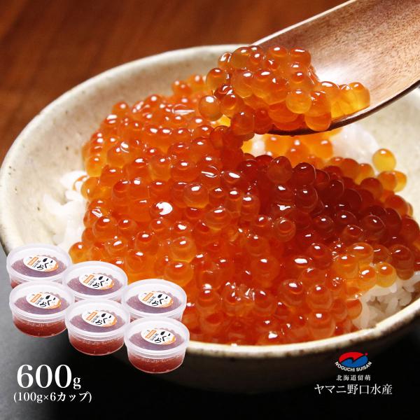 期間限定 父の日 ギフト プレゼント 北海道産 早獲れいくら醤油漬 600g（6カップ×100g） 贈り物   鮭 お祝い 冷凍便 お取り寄せ