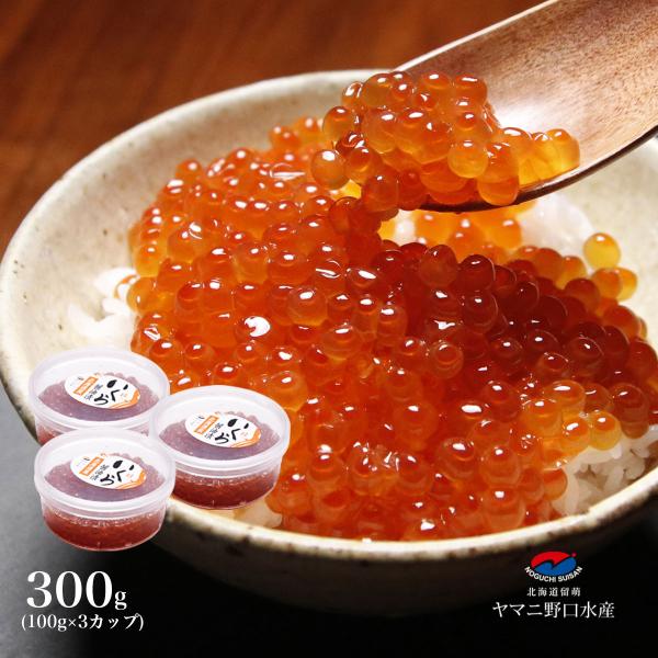 期間限定 父の日 ギフト プレゼント 北海道産 早獲れいくら醤油漬 300g（3カップ×100g） 贈り物   鮭 お祝い 冷凍便 お取り寄せ