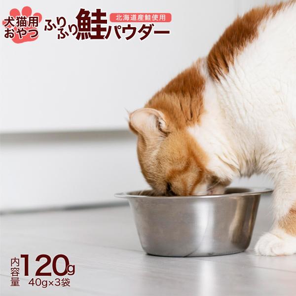 ペットフード ふりふり 鮭 パウダー 120g（40g×3袋） 犬 猫 北海道産 わんちゃん ねこちゃん 国産原料 ヒューマングレード ドッグフード キャットフード