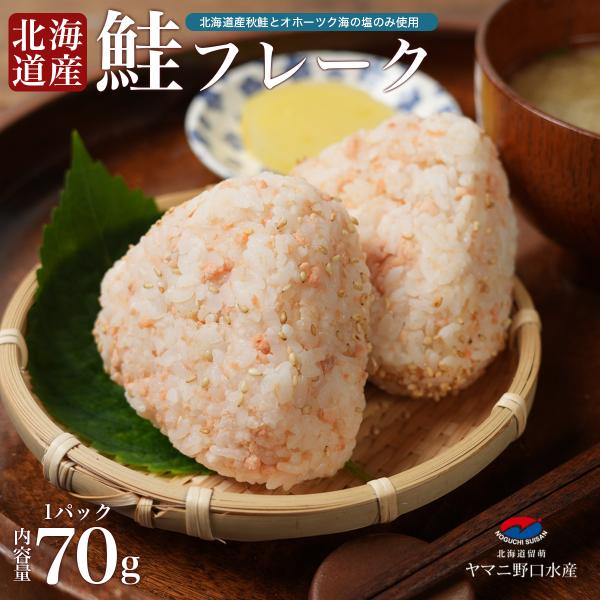 北海道産 鮭フレーク 70g オホーツクの塩 シャケフレーク ご飯のお供 おかず ふりかけ ごはん おにぎり ご飯 お弁当 パスタ  常温 ポイント消化
