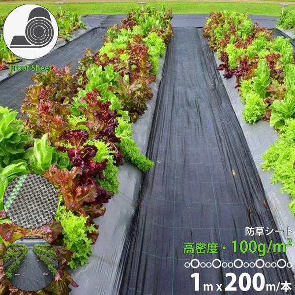 防草シート 1m×200m 100g/m2 高品質 ガーデニング 庭 田んぼ 畑 ハウス ライン入り  区分100S BS-001