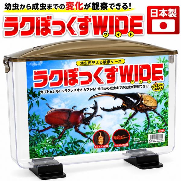 ラクぼっくす WIDE ワイド 日本製 国産 昆虫観察ケース 透明ケース 大型 昆虫ケース 幼虫飼育 蛹室 羽化 蛹化 成長観察 区分80S C-770