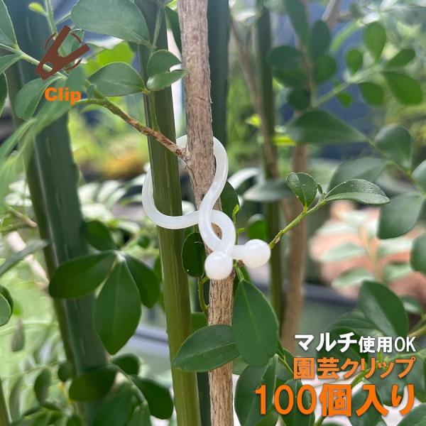 大容量お得な100個セット！！支柱や添え木、ひもに植物の茎やつるを留められるクリップです。ネットにひっかけて、ひねって閉じるだけ！ワンタッチで作業効率アップ！内側に丸みがあり植物を傷つけにくい丈夫なナイロン樹脂製口を閉じた際の内径が約17m...