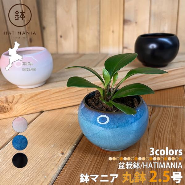 HATIMANIA 鉢マニア 筒型丸深鉢 2.5号 盆栽鉢 日本製 美濃焼 水が抜けやすい 小さい 小サイズ 陶器 森三 伝統工芸 盆栽 多肉植物 サボテン アガベ 苔 区分60Y