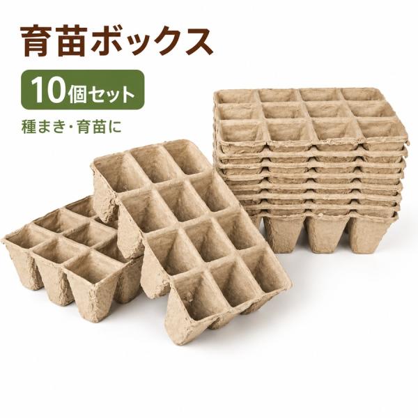育苗ボックス 10個セット 育苗ポット 12穴 育苗 鉢植え 種子トレイ 水やり 連結ポット 育苗容器 苗ポット 区分80Y NP-144