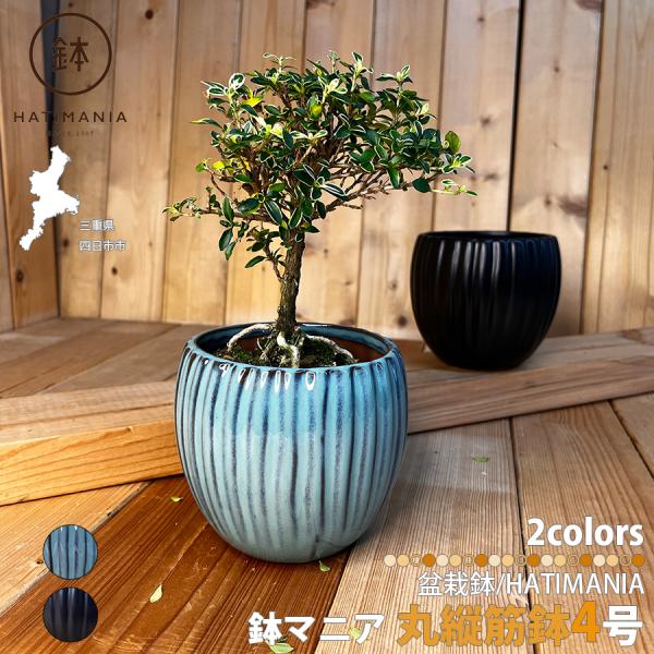 盆栽鉢　植木鉢　陶芸　園芸　盆栽 HATIMANIA 鉢マニア 丸縦筋鉢 4号 盆栽鉢 水が抜けやすい 小さい 小