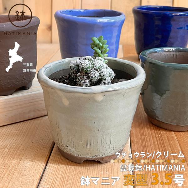 ● 商品名：HATIMANIA 鉢マニア  ウチョウラン クリーム 3.5号●商品名：HATIMANIA 萬古焼 3.5号 変型ウチョウラン鉢●生産地：三重県四日市市●サイズ：約Φ11cm・高さ9cm●仕様：萬古焼●検索キーワード三重県 国...