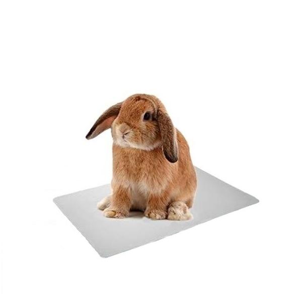 アルミプレートは物理的に温度を下げるので、電気などは一切不要でエコ。上に乗ると、穏やかに体温を放熱し、冷感でひんやり気持ち良い。快適に夏を過ごせます！【お手入れ簡単】汚れがひどいときには中性洗剤を含ませた柔らかいスポンジや布でふき取り、よく...