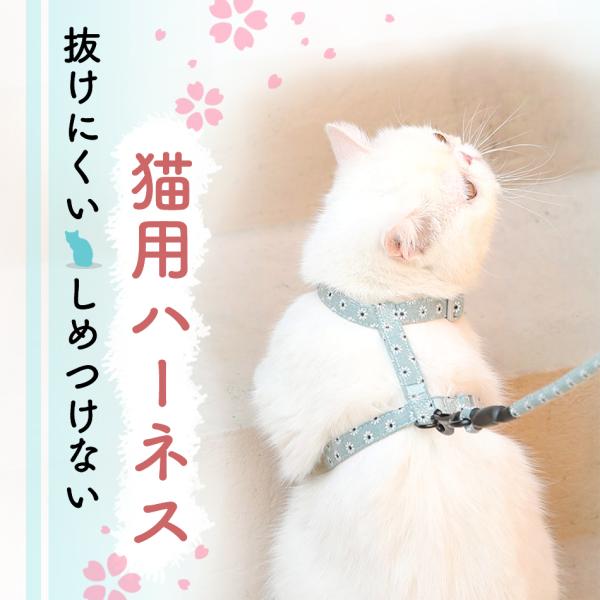 猫 ハーネス リード 散歩 おすすめ かわいい おしゃれ ギガランキングｊｐ