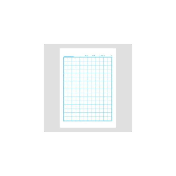 学習帳 B5 ショウワノート キャラクターシリーズ ポケモン学習帳 B5判 ポケdp こくご8マス 字リーダー入り 10冊セット Pl 8 1 Buyee Buyee Japanese Proxy Service Buy From Japan Bot Online