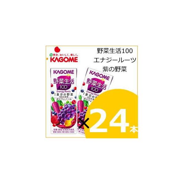 ؐ ؐ100 GiW[[c ̖ 200ml×24{ ؃W[X JS