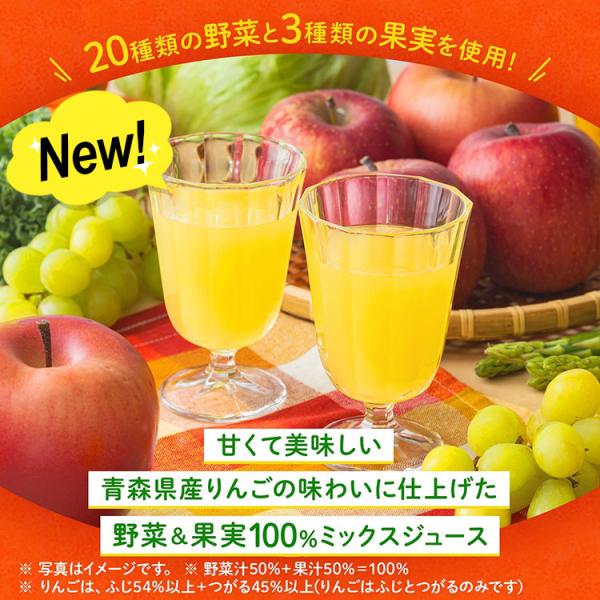 ��؃W���[�X ��ؐ��� �J�S�� �G���r�[�ʏ`100���W���[�X24�{ 26��ނ���4��ނ��I�ׂ镟�܁�(4��ށ~6�{) ���i�摜3