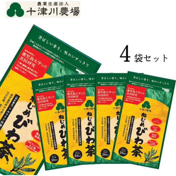 ˂ т풃24(2eB[obO 24)×4 \Ð_