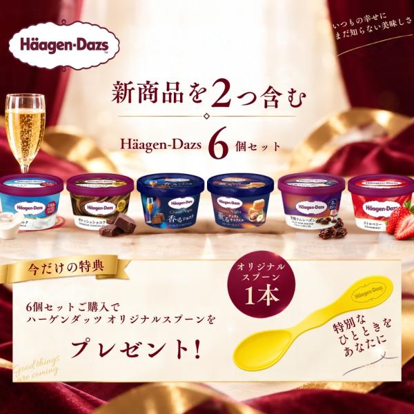 �n�[�Q���_�b�c �V���i �������Z�b�g Classy Night 2����� ���ʂ�6�Z�b�g �N���b�V�[�i�C�g Haagen-Dazs ���i�摜2