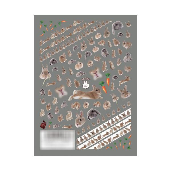 うさぎ ネイルシールの人気商品 通販 価格比較 価格 Com