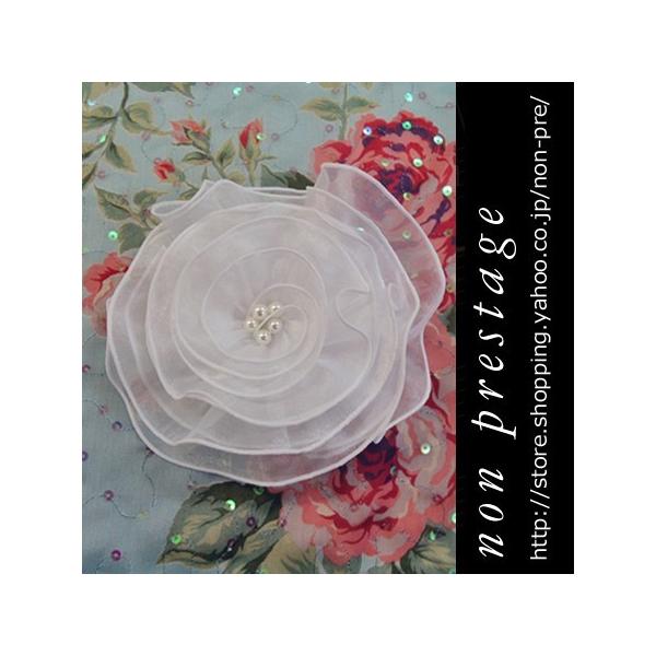 �t�H�[�}�� �� �� �� �� �R�T�[�W���� �R�[���X �Ќ��_���X