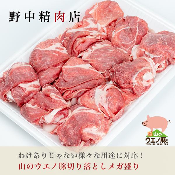 ؓ 󂠂 ؂藎Ƃ R̃EGm 500g