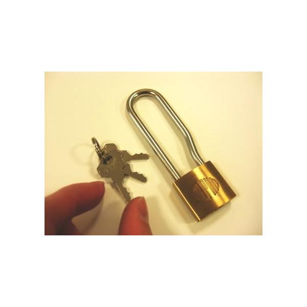 L[̂Ȃ싞@25~@No.1000-25L/S()@[։