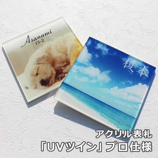 \D AN I[_[ \t v[g ʐ^ yAcLarenAN[@UVcCvdlEAN\Dz ˌ  IWi \D}CX^[